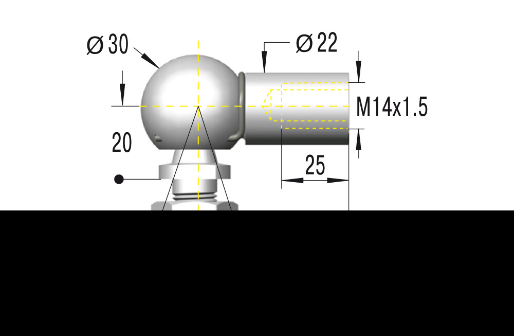 C14